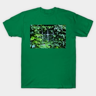 Trumpet Vine by Barn Window T-Shirt